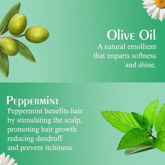 Olive Moisture Professional Style Control Hair Mousse 500ml