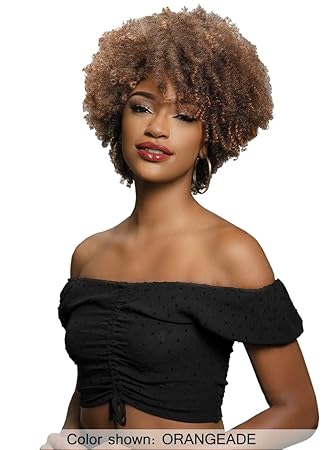 Janet Collection Natural Curly Premium Synthetic Hair- NATURAL AFRO PLES