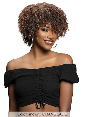 Janet Collection Natural Curly Premium Synthetic Hair- NATURAL AFRO PLES