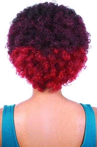 Beshe Afro Premium Collection Wig - Air