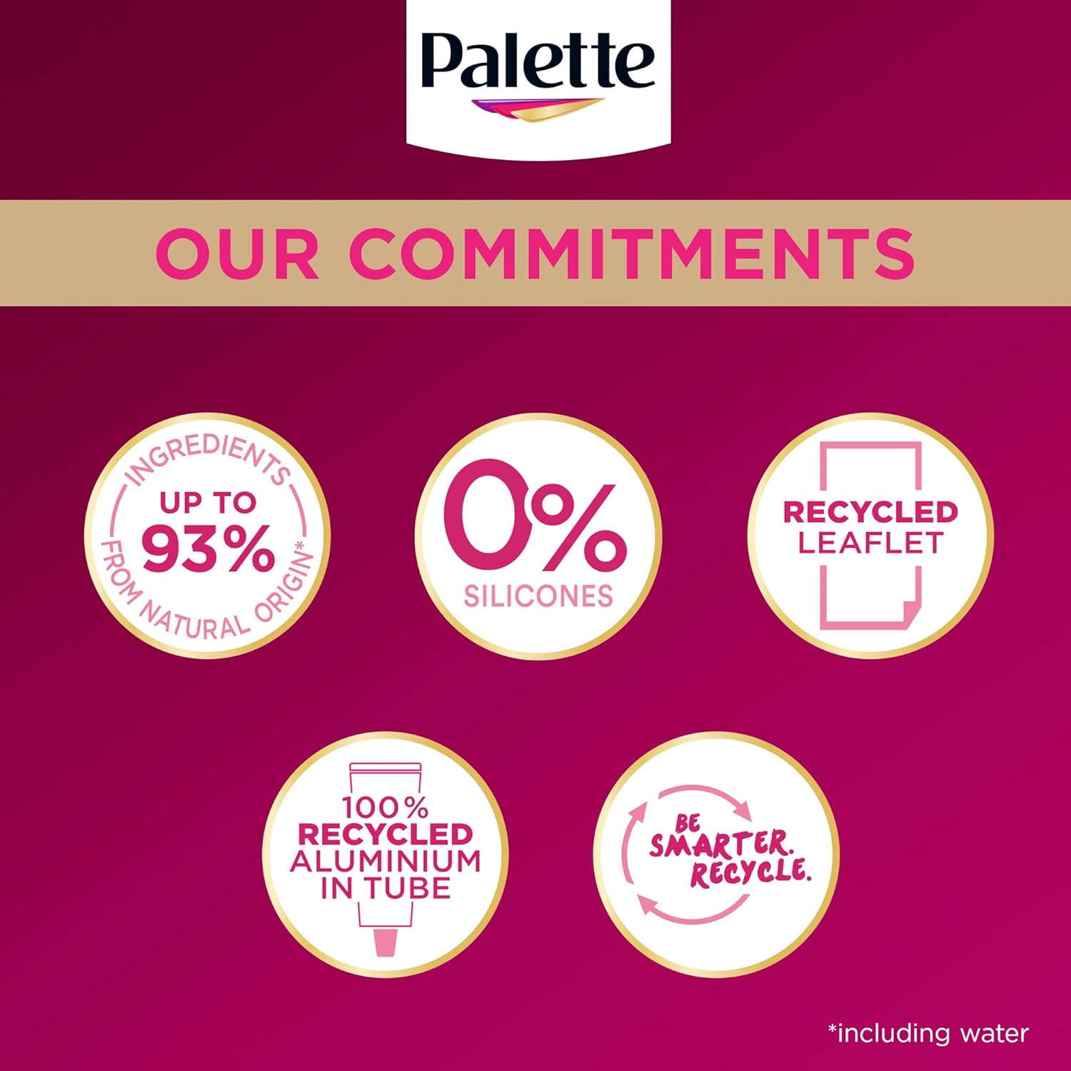 Palette Deluxe Creme Colouration Black Hair Dye