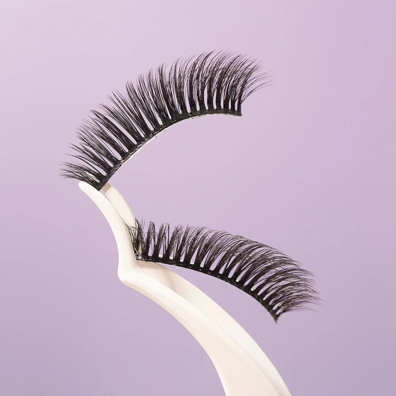 Ebin New York Cattitude Lashes-Wonder Cat