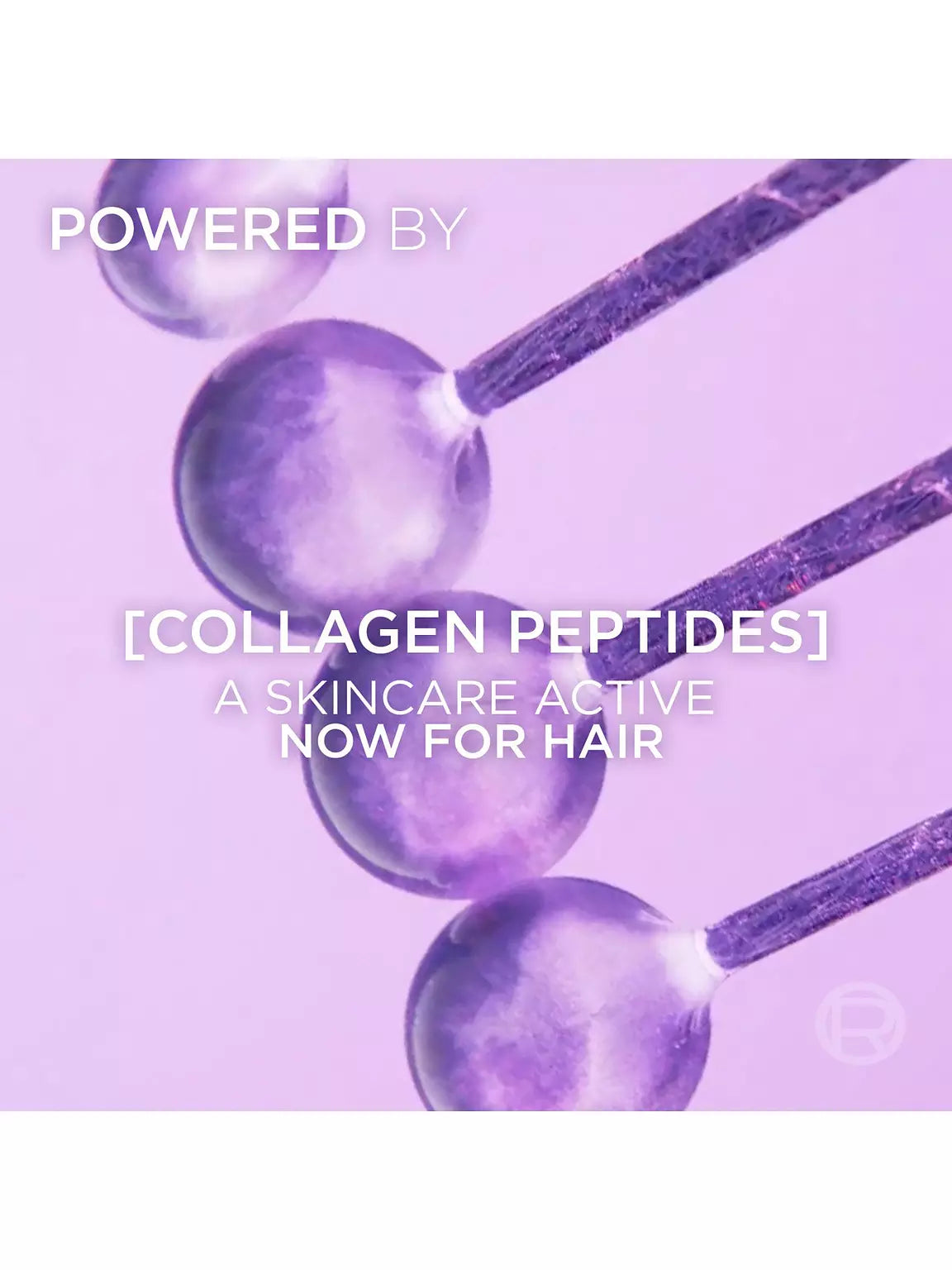 L'Oreal Paris Elvive Collagen Lifter Shampoo