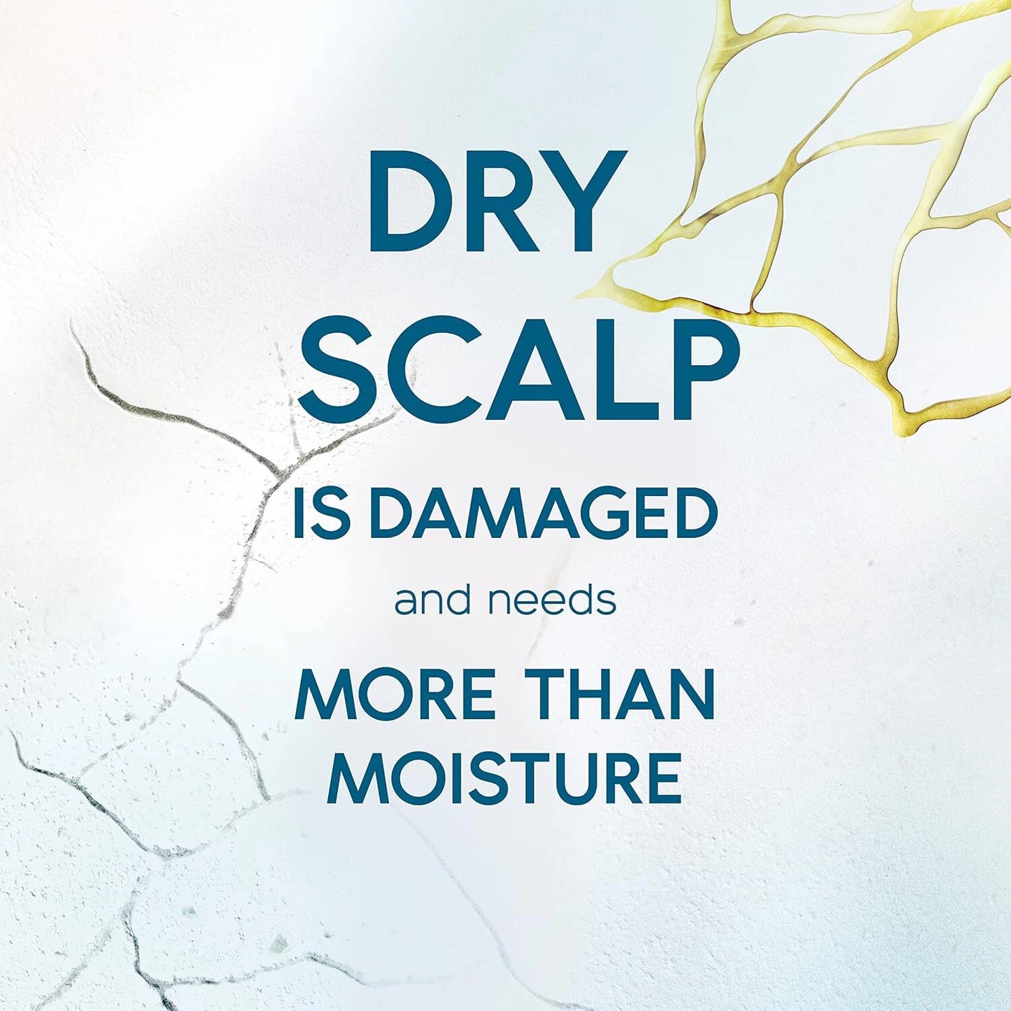 Head & Shoulders Hair Food Anti Dandruff Dry Scalp Care Aloe Vera Extract 450ml