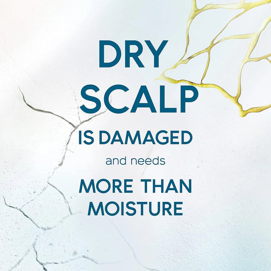 Head & Shoulders Hair Food Anti Dandruff Dry Scalp Care Aloe Vera Extract 450ml