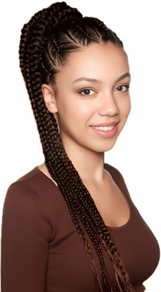 Smart Braid Professional Pre-stretched | CC Hair & Beauty – CC Hair And ...