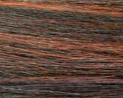 Freetress Equal Synthetic Lace Front Wig Tracy- Tracey