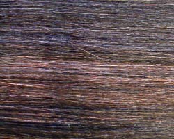 Sensationnel Empress Custom Lace Front Wig - Kinky Curl