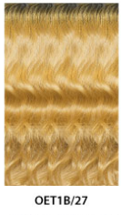 Janet Collection Nala Tress Passion Twist Crochet Braid 24"